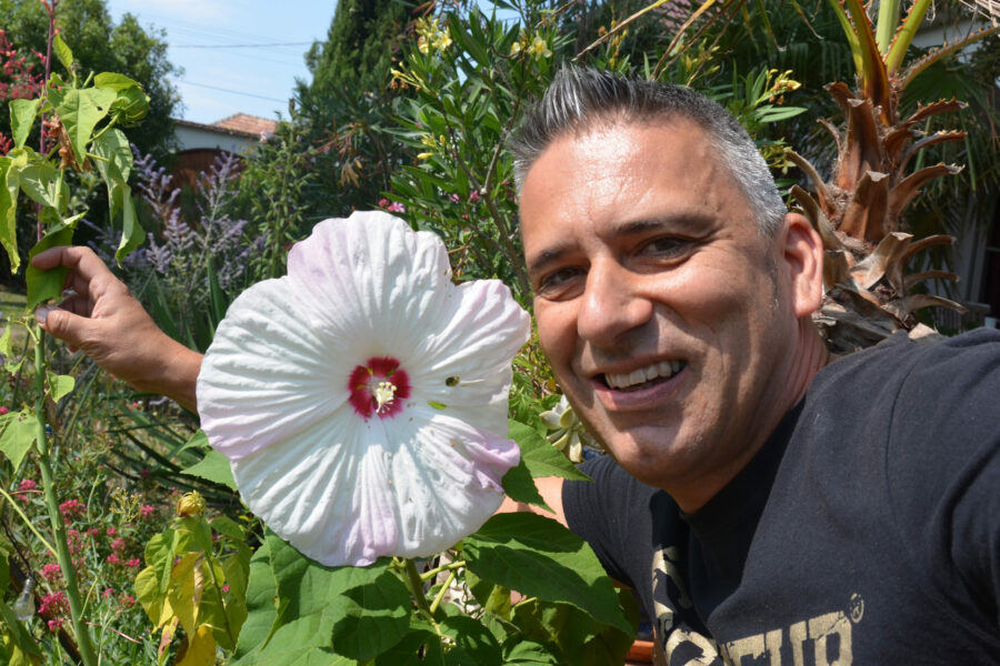 Thomas Amersberger, Hibiskusblüte, exotische Pflanzen