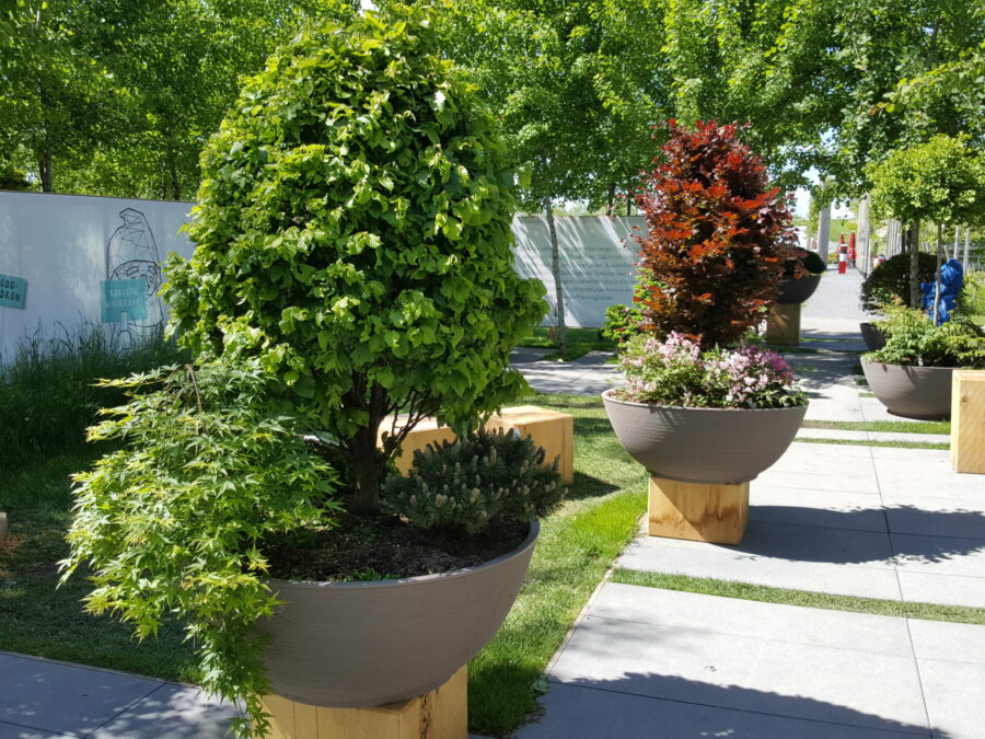 Kleine Gehölze Foto: Julia Hagemeister