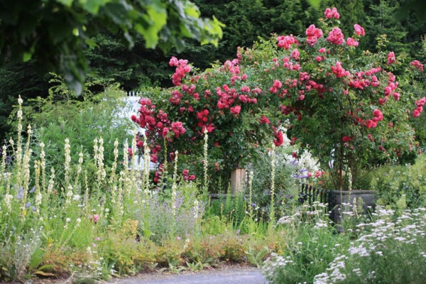 Cristine Bendix, Foto: Matthias Wasserschaff