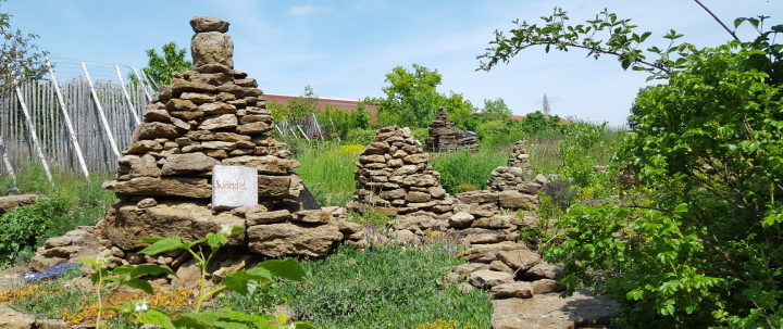 Hortus Insectorum. Foto: Markus Gastl