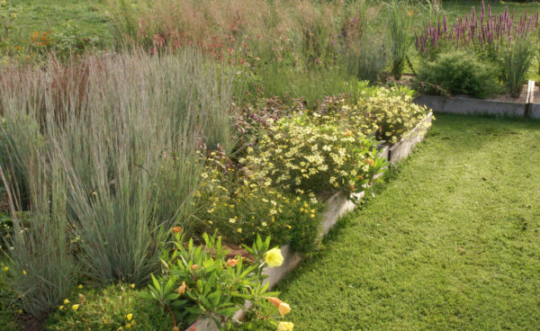 Foto: Till Hofmann, Gärtnern mit Sand