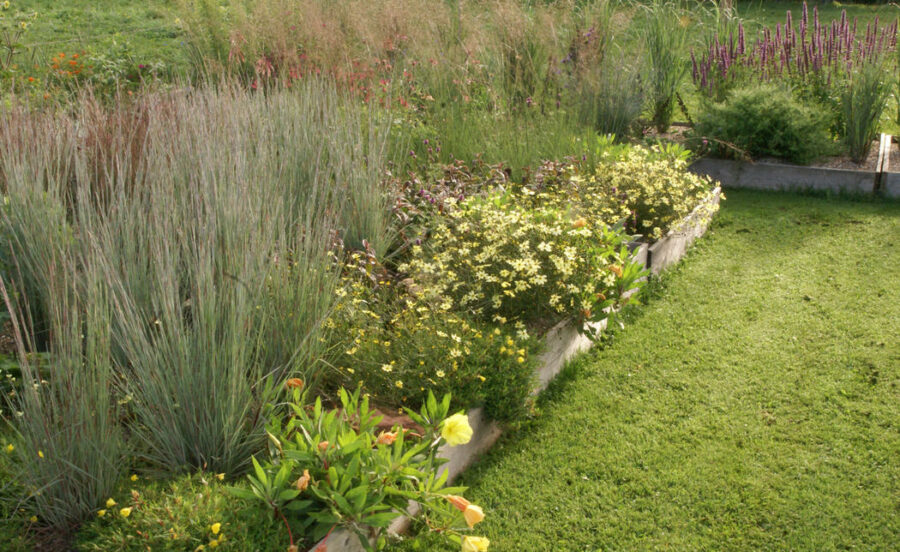 Foto: Till Hofmann, Gärtnern mit Sand