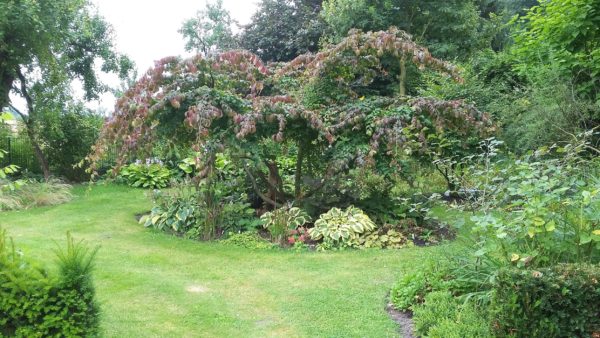 Foto: Barbara Gerlach