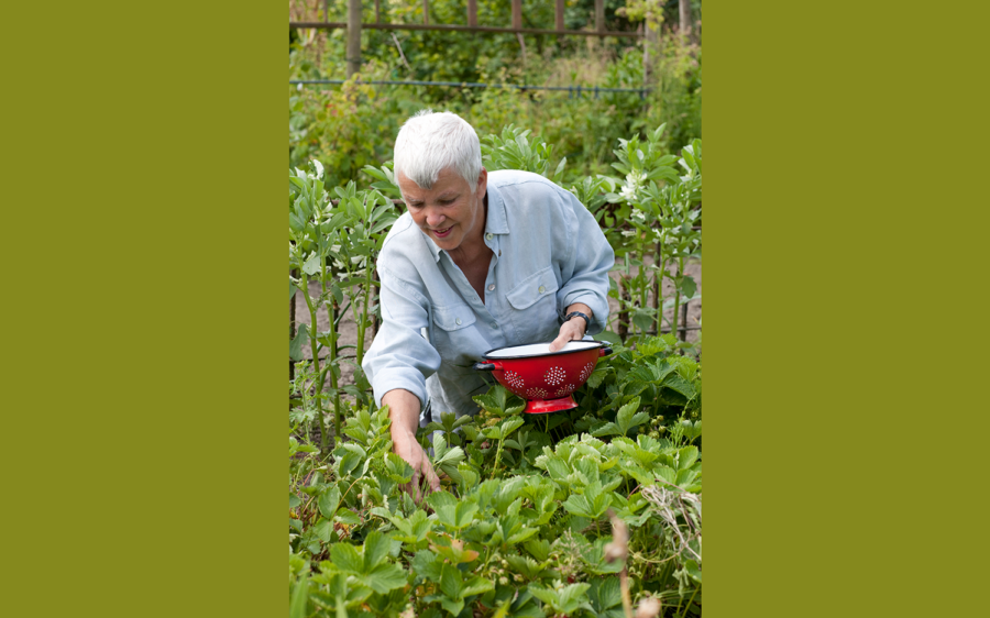 Renate Hücking in ihrem Garten, Foto: Renate Hücking