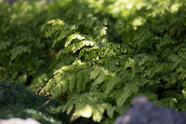 Foto: Sylvia Knittel