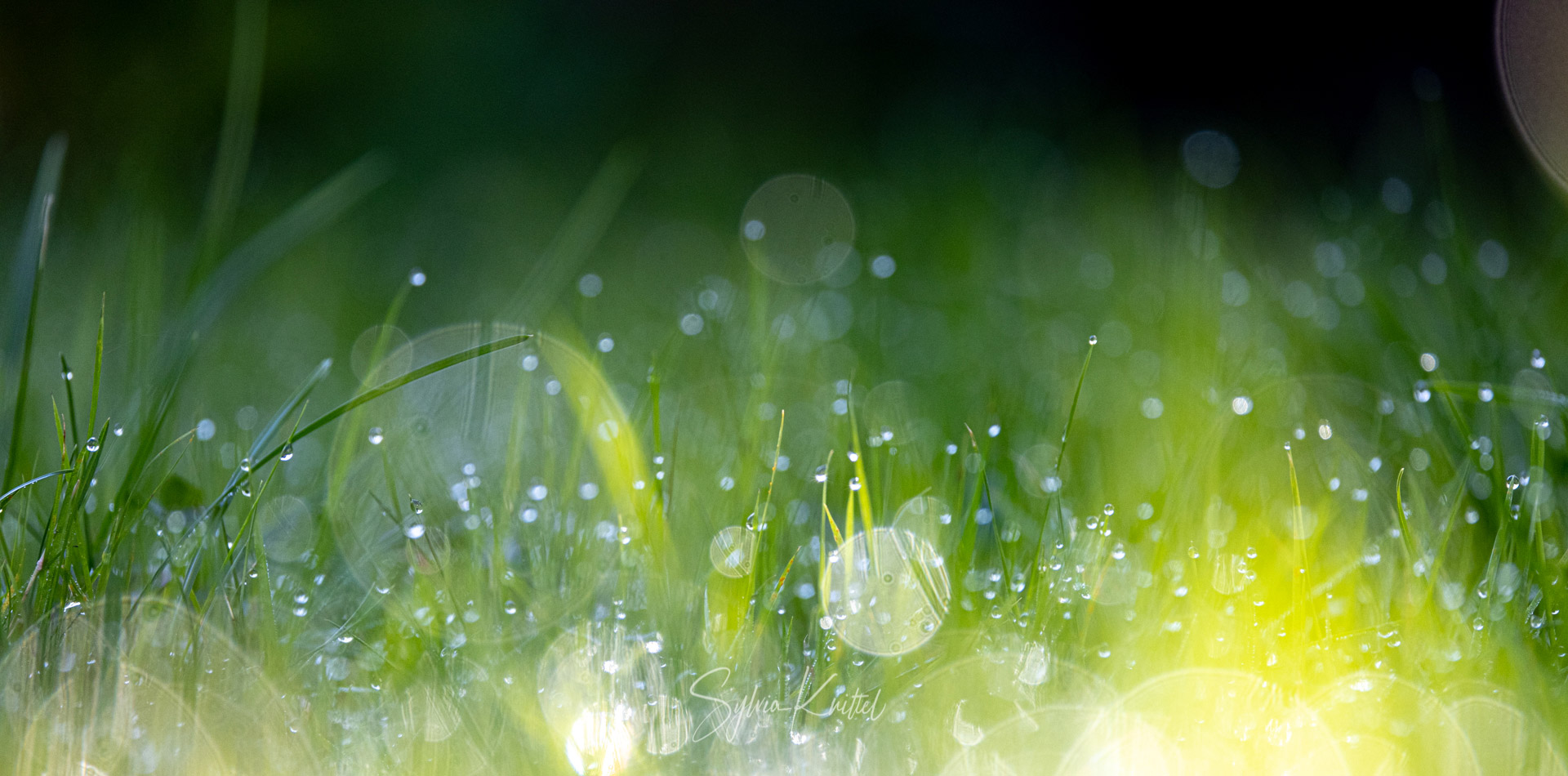 Garten, Foto: Sylvia Knittel