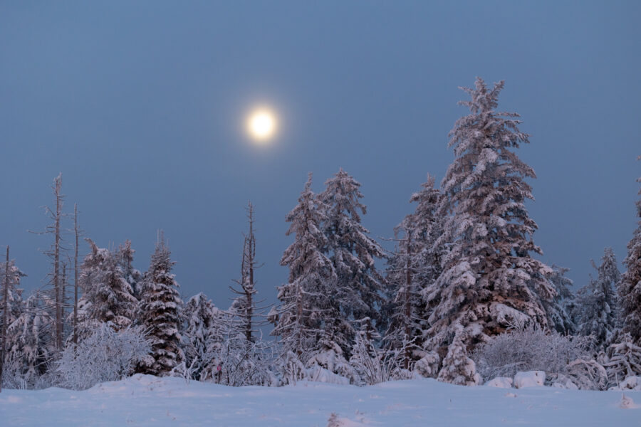 Winter im Schwarzwald mit Vollmond Foto: Sylvia Knittel