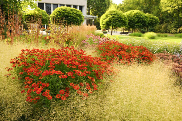 Foto: Joachim Hegmann