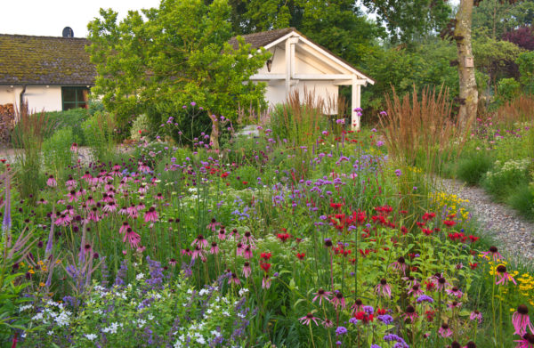 Präriegarten, Foto: Annette Timmermann