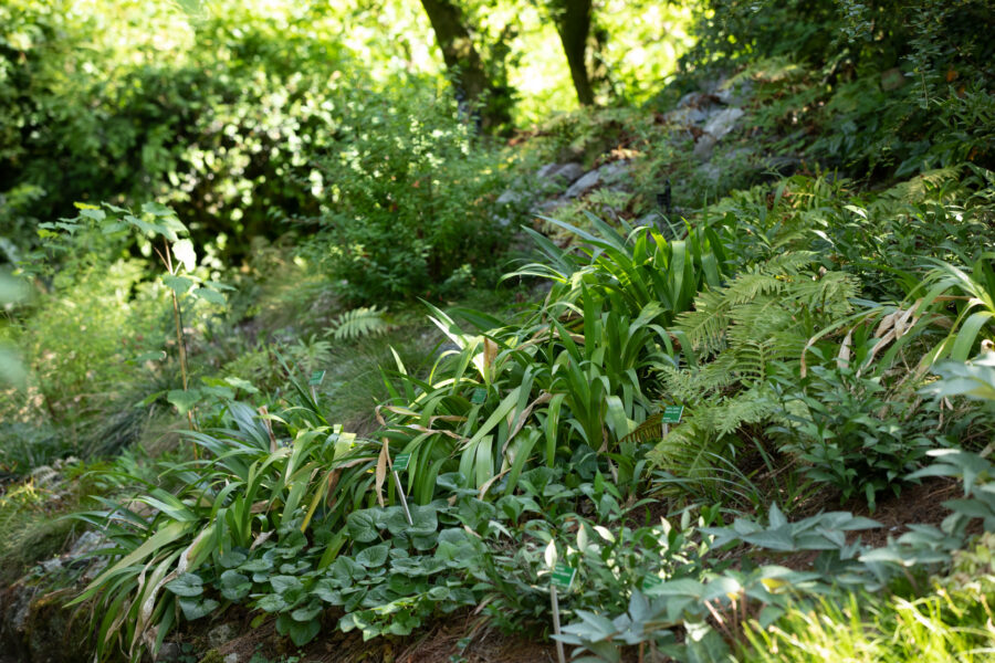 Foto: Sylvia Knittel